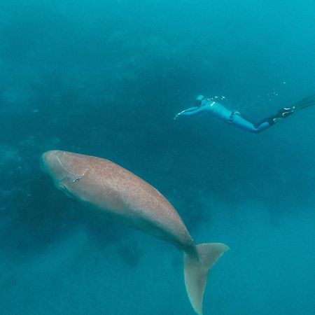 Wadi Sabarah Lodge Marsa Alam Ngoại thất bức ảnh